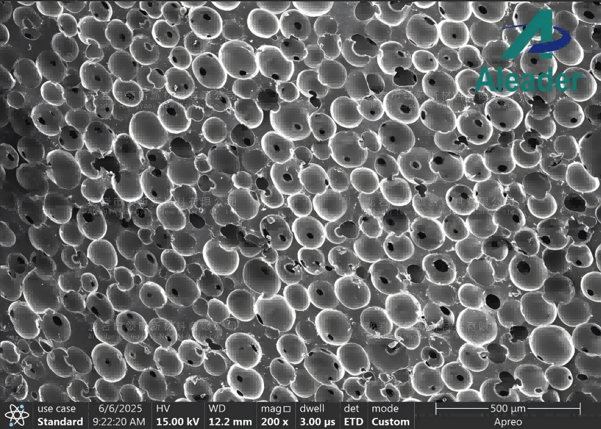 microporous elastomer under SEM microporous elastomer under SEM